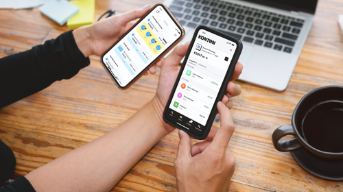 E-Payment mit WERO
